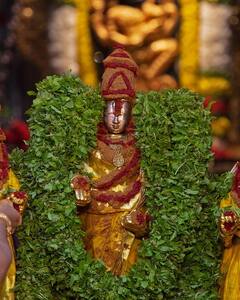 திருப்பதி கோயில் பிரம்மோற்சவ விழா கொடியேற்றத்துடன் நிறைவடைந்தது - பெருமாளை காணுங்கள்..!