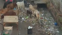 AQI nears 345 in Delhi after Dusshera celebrations