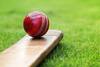 Syed Mushtaq Ali Trophy T20: दिल्ली ने ग्रुप ई मैच में उत्तर प्रदेश को नौ विकेट से हराकर दर्ज की लगातार दूसरी जीत