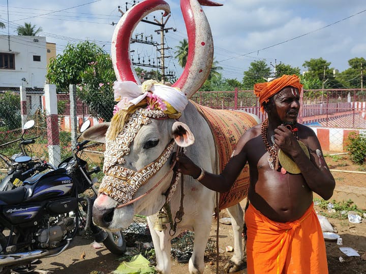 பல மாதங்களுக்குப் பிறகு மீண்டும் திறக்கப்பட்ட ஆலயம் : தென் திருப்பதியில் பக்தர்கள் தரிசனம்..