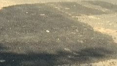 અમદાવાદ:26 હજાર ખાડાનું પુરાણ કર્યો હોવાનો પાલિકાનો દાવો, જુઓ ગુજરાતી ન્યુઝ