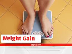 Weight Gain Drinks: वजन बढ़ाने के लिए 'सुपरड्रिंक', रोज पीएं 5 हेल्दी हाई-कैलोरी वाले प्रोटीन शेक
