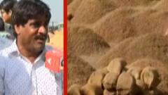 સૌરાષ્ટ્રના માર્કેટિંગ યાર્ડ: મગફળી અને કપાસની બમ્પર આવક