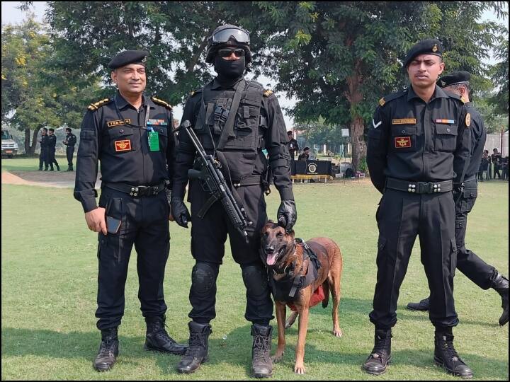 NSG Raising Day national security guard commandos showed how destroy terrorist mission ANN NSG Raising Day: NSG कमांडो ने दिखाया कैसे करते हैं आतंकी मंसूबों को नेस्तनाबूद