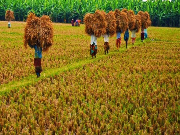 ஊர் சுற்றலாம் வாங்க: நூற்றாண்டை கடந்து நிற்கும் நெற்களஞ்சியம்...! - கல்விக்கூடமாய் மாறிய கதை...!