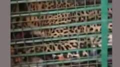 khabrein Tabadtod : Haridwar में संतों ने राज्य सरकार से की पलायन रोकने की मांग। ABP Ganga