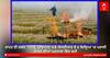 Stubble Burning: ਰਾਹਤ ਦੀ ਖ਼ਬਰ- ਪੰਜਾਬ, ਹਰਿਆਣਾ ਅਤੇ ਐਨਸੀਆਰ ਦੇ 8 ਜ਼ਿਲ੍ਹਿਆਂ 'ਚ ਪਰਾਲੀ ਸਾੜਨ ਦੀਆਂ ਘਟਨਾਵਾਂ ਵਿੱਚ ਕਮੀ