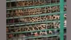 khabrein Tabadtod : Haridwar में संतों ने राज्य सरकार से की पलायन रोकने की मांग। ABP Ganga