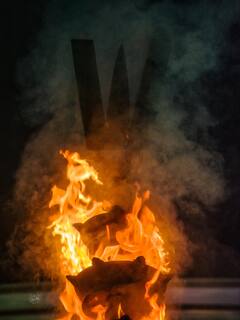 திருப்பதி கோயில் பிரம்மோற்சவத்தின் சில அற்புதமான புகைப்படங்கள்