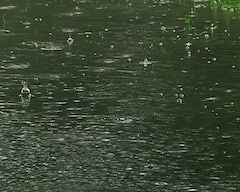 Kolkata Weather Update : লক্ষ্মীপুজোয় বৃষ্টি নিয়ে কী বলছে আবহাওয়া দফতর?