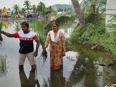 சேலம்: கனமழை காரணமாக வயலில் சூழ்ந்த வெள்ளம்.. விவசாயிகள் வேதனை