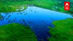 Amravati : वन कर्मचाऱ्यांनी तयार केला तलाव, शेतकऱ्यांनाही मोठा फायदा, भूजल पातळीत मोठी वाढ