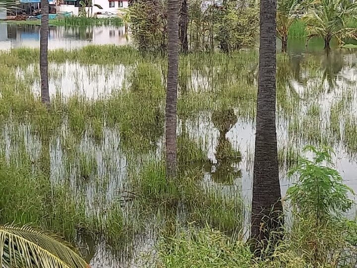 சேலம்: கனமழை காரணமாக வயலில் சூழ்ந்த வெள்ளம்.. விவசாயிகள் வேதனை