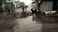 Smart Bulletin : स्मार्ट बुलेटिन : 17 ऑक्टोबर 2021 रविवार : ABP Majha