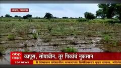 Jalna : जालना जिल्ह्यात शेतकऱ्यांचं मोठं नुकसान; पावसामुळे कापूस, तूर, सोयाबीन पिकांचं नुकसान