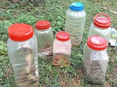 அடுத்தடுத்து வீடுகளில் புகுந்த பாம்புகள்... சிங்கம் போல வந்து டப்பாவில் அடைத்த ‛ஸ்நேக்’ பாண்டி...!