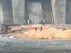 Somasila: ప్రమాదం అంచున విహారం... సోమశిలకు పెరిగిన సందర్శకుల సందడి