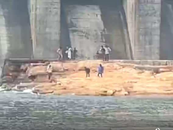 Somasila: ప్రమాదం అంచున విహారం... సోమశిలకు పెరిగిన సందర్శకుల సందడి