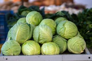 ਕੀ ਗੋਭੀ ਖਾਣ ਨਾਲ ਦਿਮਾਗ ਨੂੰ ਹੁੰਦਾ ਨੁਕਸਾਨ? ਜਾਣੋ ਕੀ ਕਹਿੰਦੇ ਮਾਹਰ