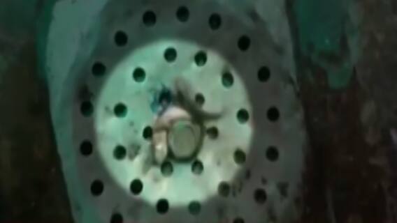 ભાવનગરઃ મનપા દ્વારા અપાતા પીવાના પાણીમાં નીકળી જીવતી માછલી, વીડિયો વાયરલ