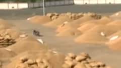 રાજ્યમાં મગફળીના ઉત્પાદનના આંકડા થયા જાહેર, ક્યાં સૌથી વધુ ઉત્પાદનનો છે અંદાજ?