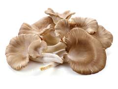 Health Care Tips: वजन कम करने में मददगार हो सकती है ऑइस्टर मशरूम, जानें इसे खाने के फायदे