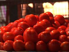 Raipur News: आम आदमी पर महंगाई की चौतरफा मार, टमाटर हुआ और 'लाल', आलू-गोभी भी महंगी