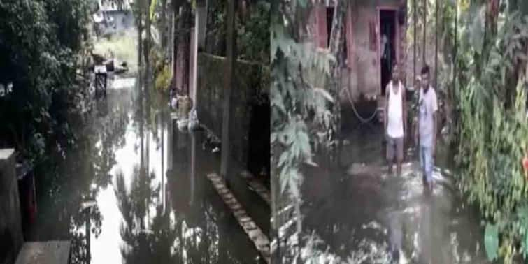 North 24 Pargana Waterlogging Triggers Skin Decease, snake panic at Ashoke Nagar North 24 Pargana : জমা জলের বাড়ছে চর্মরোগ, চারিদিকে ঘুরছে সাপ-খোপ, আতঙ্কে অশোকনগর