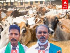 Chengalpattu: கோமாரி நோயில் இருந்து மாடுகளை காப்பாற்றுங்கள்! கோரிக்கை வைக்கும் விவசாயிகள்