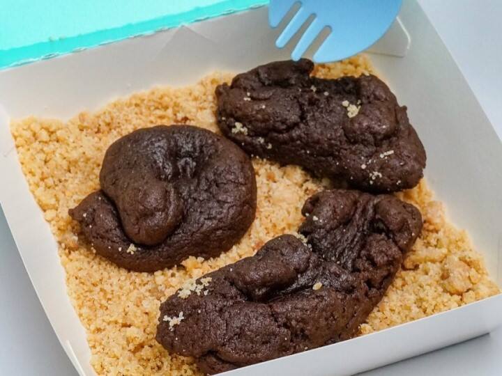 These  Singaporean cafe Nasty Cookie Brownies Look Like  Cat Poop Nasty Cookie: ఛీ.. యాక్.. ఈ ఆహారాన్ని లొట్టలేసుకుని మరీ తింటారట, ఇది ఏమిటో తెలుసా?
