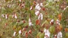 ન્યૂઝરૂમ લાઈવ: રાજકોટ મનપાની નવી પાર્કિંગ પોલિસીથી સર્જાયો વિવાદ, જુઓ ગુજરાતી ન્યુઝ