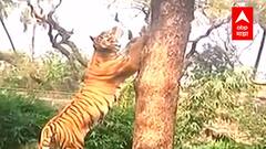 Rani Chi Baug Reopens : 1 नोव्हेंबरपासून राणीची बाग गजबजणार, गर्दी झाल्यास प्रवेशबंदी होणार