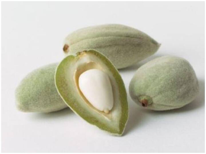 Health Care Tips, Green Almonds can help in Reducing Weight And Green Almonds Benefits And Weight Loss Health Care Tips: वजन कम करने में मदद कर सकते हैं Green Almonds, जानें इन्हें खाने के फायदे