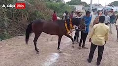 KURNOOL : అలనాటి రాచరిక సంప్రదాయం నేటికీ కొనసాగుతోంది