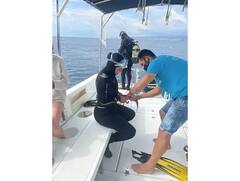 સ્ટ્રેસને ઓછો કરવા પ્રિયંકા લીધો ક્યૂબા ડાઇવિંગનો સહારો, સ્પેનના દરિયામાં લગાવી ઉંડી ડુબકી, જુઓ તસવીરો......