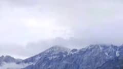 અસ્મિતા વિશેષ: ઠરવાનું નક્કી