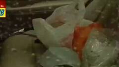 Gariahat Murder: সুবীর চাকির গাড়িতে এত খাবার কেন? তদন্তে পুলিশ| Bangla News