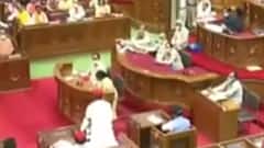 Samajwadi Party's Rebel MLA Nitin Agrawal wins UP Vidhan Sabha's Deputy Speaker election with BJP's support