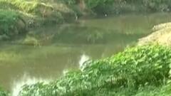 વડોદરાઃ વિશ્વામિત્રી નદી ખદબદી રહી છે ગંદકીથી, સાંસદ રંજનબેને શું કરી તાકીદ?