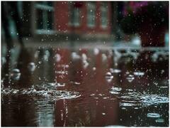 Delhi Rains: दिल्ली में बारिश ने तोड़ा 65 सालों का रिकॉर्ड, 1956 के बाद ऐसी बारिश कभी नहीं हुई