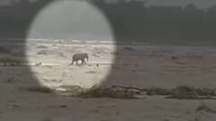 Kerala : बाढ़ की वजह से कई दुकानों और मकानों को नुकसान, प्रशासन से नहीं मिल पा रही है मदद