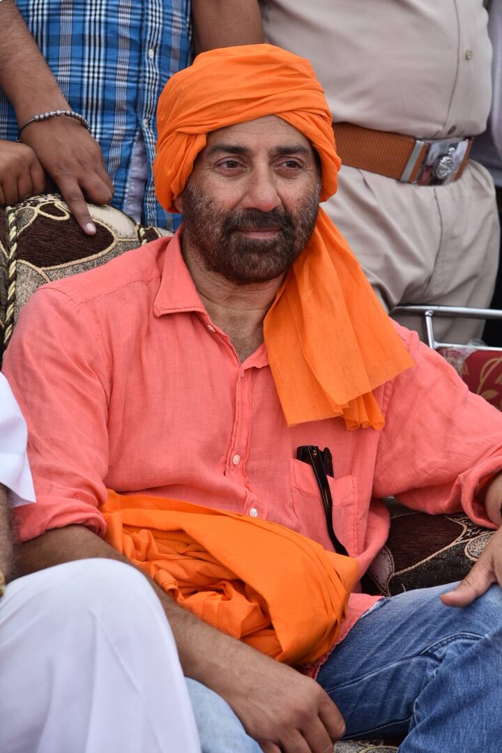 (Photo:@iamsunnydeol/IG)