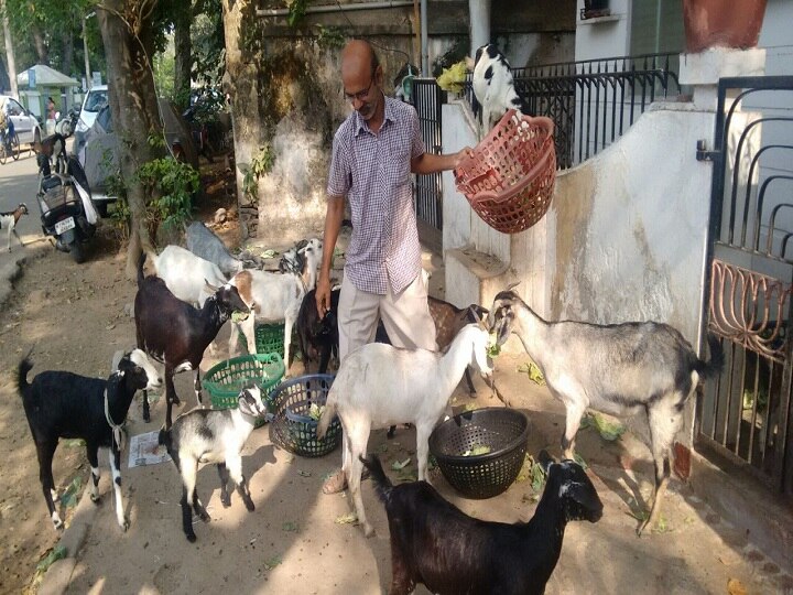 ”நிற்கச்சொன்னா நிக்கும், அன்புதான் மொழி” : ஆடுகளை வளர்த்து அரவணைக்கும் ஆசிரியர்..