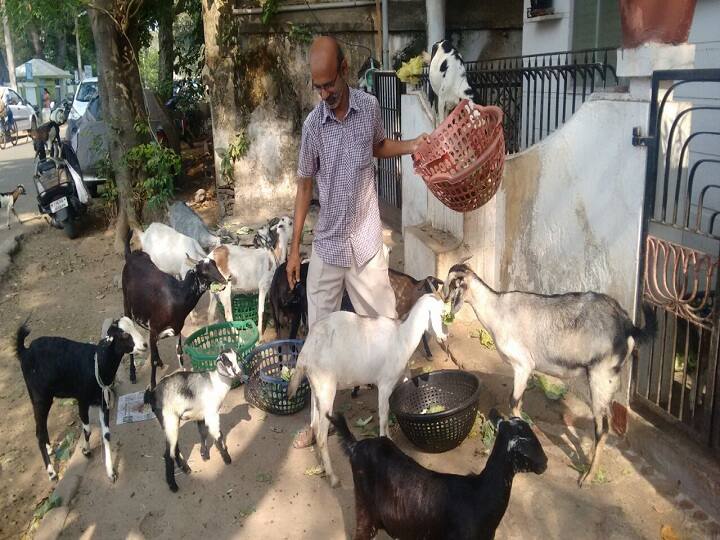 Vasu Teacher adopts goats and goat kids in Thiruvarur ”நிற்கச்சொன்னா நிக்கும், அன்புதான் மொழி” : ஆடுகளை வளர்த்து அரவணைக்கும் ஆசிரியர்..