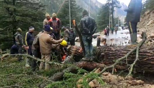 भारी बारिश के कारण जंगलों को भी काफी नुकसान पहुंचा है. कई पेड़ गिर गए हैं. इसके अलावा सड़कों के किनारे खड़े पेड़ भी गिर गए हैं. इस कारण सड़क जाम हो गया है. रेस्क्यू टीम रास्ता साफ करने में जुटी हुई है.