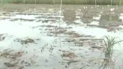 ટોપ 20: 22 તારીખે પ્રદેશ કોંગ્રેસના પ્રમુખ બાબતે થઇ શકે છે જાહેરાત, જુઓ ગુજરાતી ન્યુઝ