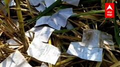 Nanded : धक्कादायक! शेतकऱ्यांच्या पीकविम्याचे फॉर्म्स शेतात फेकले, विमा कंपनीचा प्रताप