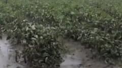 આપણી ખબર: અમદાવાદના અમરાઈવાડી વિસ્તારમાં યુવકની હત્યા, જુઓ ગુજરાતી ન્યુઝ