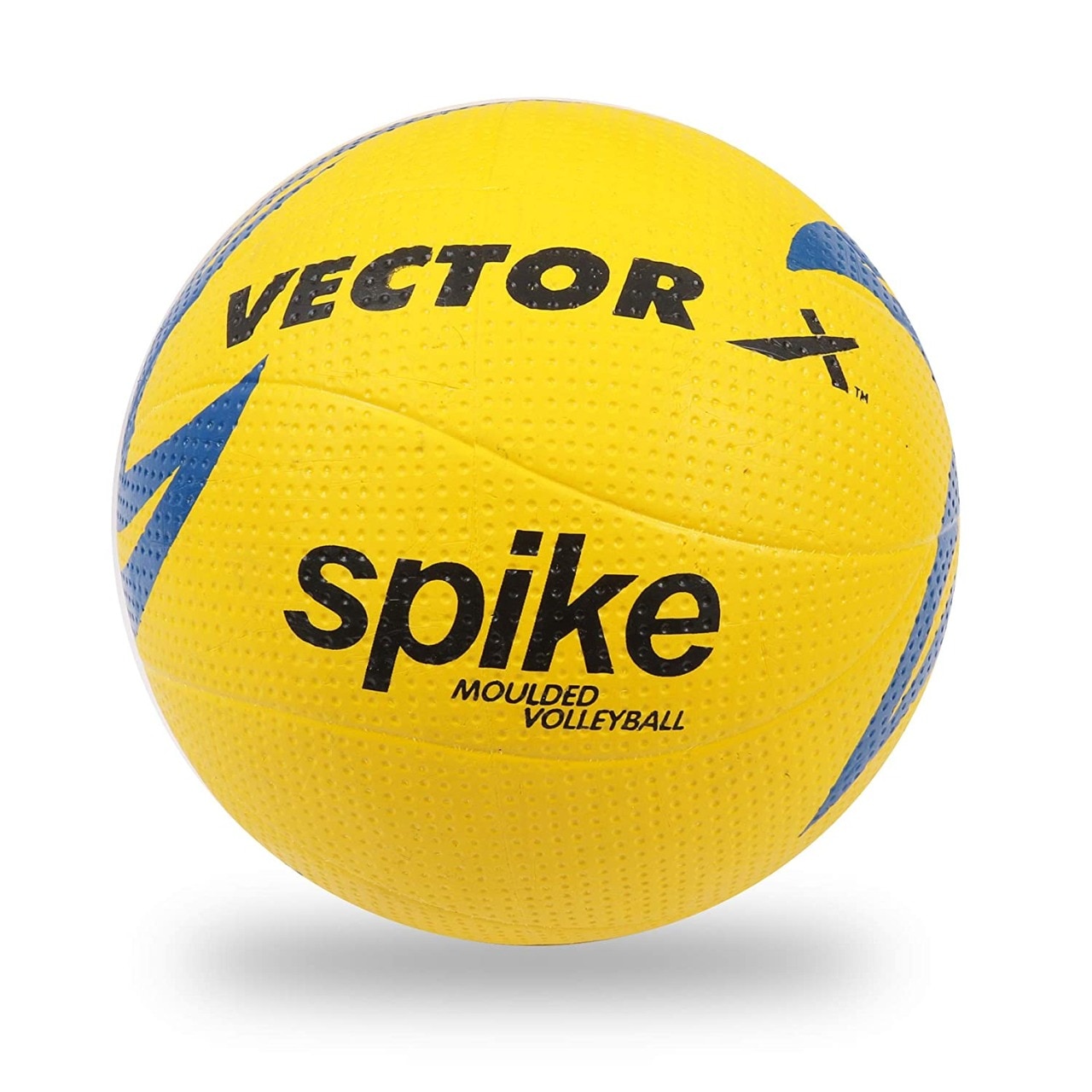 Amazon Festival Sale: Largest Sale of Sports Items, Buy Volleyball, Basketball, Tennis and Badminton under Rs.500