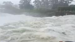 Uttarakhand: खटीमा में बारिश से बढ़ा नानकमत्ता बैराज का जलस्तर, सभी गेटों को खोला गया